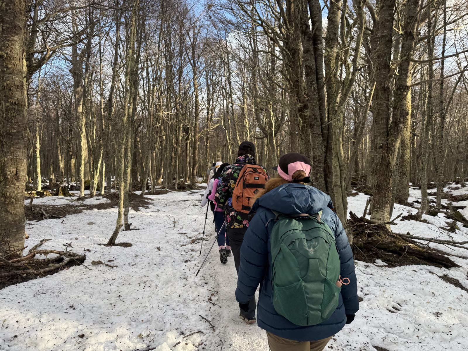 Grupo de Explore caminando por el bosque de lengas nevado en el sendero a Laguna Esmeralda