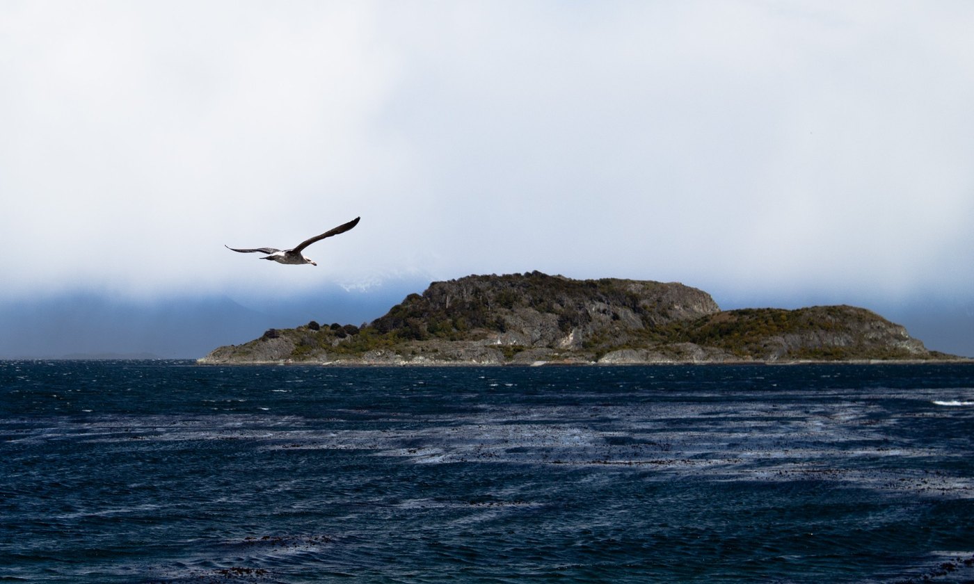 Isla Redonda vista desde la costa de Bahía Ensenada, Parque Nacional Tierra del Fuego, con viento marcado en el agua, una nube baja tapando la montaña y una gaviota en vuelo