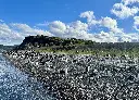 Isla Martillo Ushuaia.webp