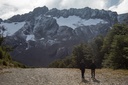 Trekkers en glaciar