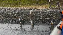 Avistaje de Pinguinos Papua invierno Ushuaia.webp