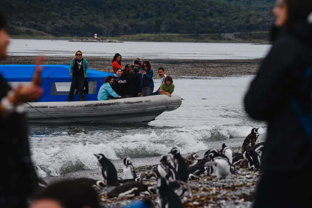 Avistaje de Pinguinos (26).webp