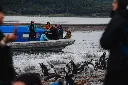 Avistaje de Pinguinos (26).webp