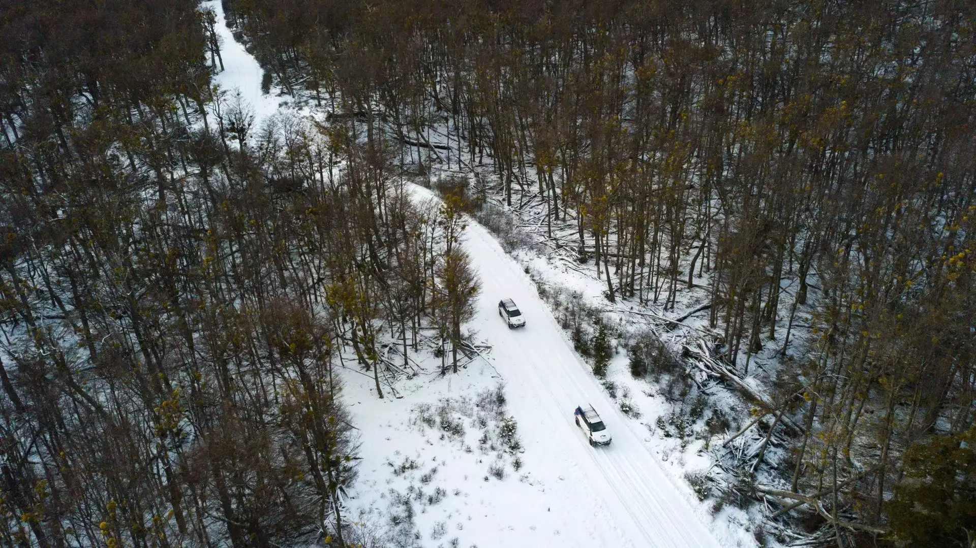 Escondido & Fagnano Lakes 4×4 Winter  (Adult over the age of 12)