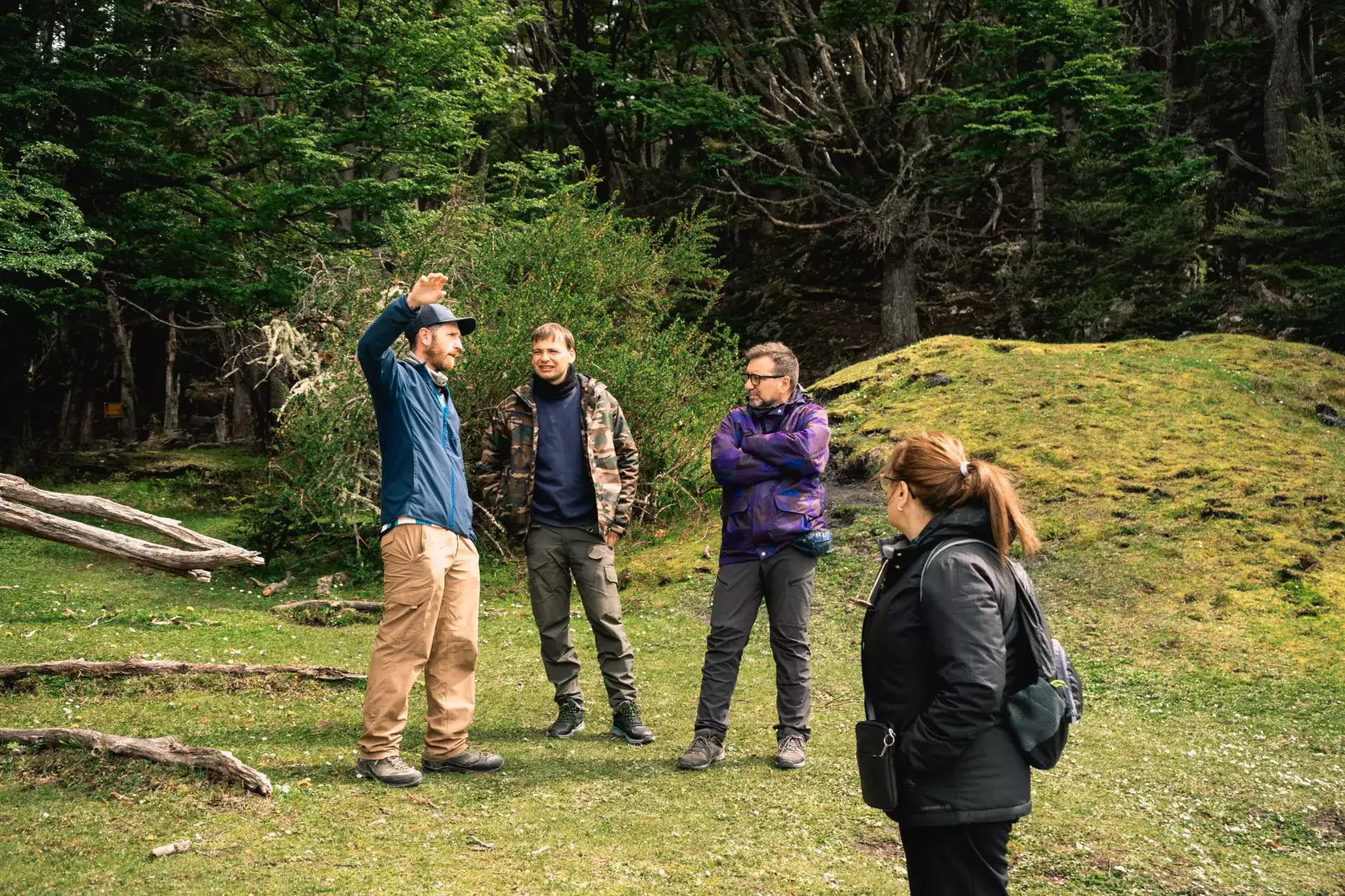 Shore Tour: Senderos del Parque Nacional Tierra del Fuego (Bebés de 0 a 2 años)